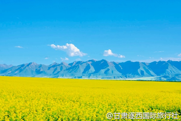 河西走廊哪些景點對70歲以上老人免票